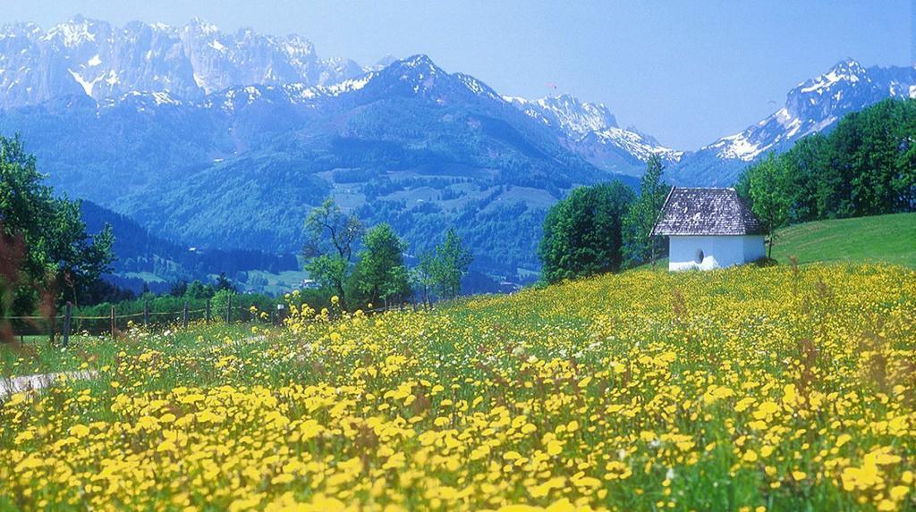 Berg Hotel Weingarten Garni Rimsting Quarto foto